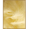 10 gr of ECRU feathers