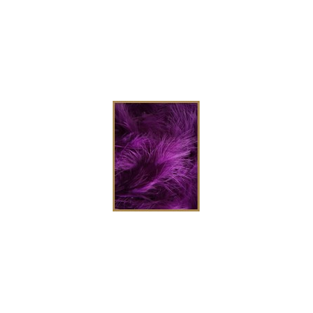 10 gr of PURPLE feathers