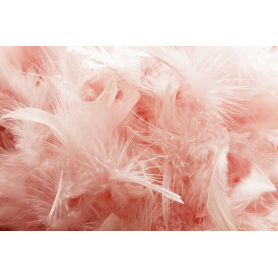 10 gr of PINK feathers
