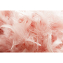 10 gr of PINK feathers