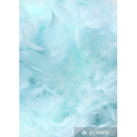 10 gr of LIGHT BLUE feathers