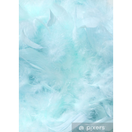 10 gr of LIGHT BLUE feathers
