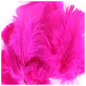 10 gr of FUCHSIA feathers