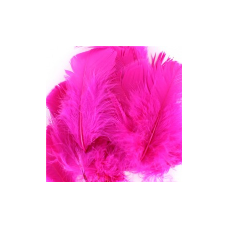 10 gr of FUCHSIA feathers