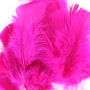 10 gr of FUCHSIA feathers