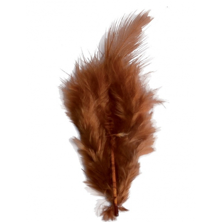 2 gr of small BROWN feathers