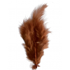 2 gr de mini plumes MARON