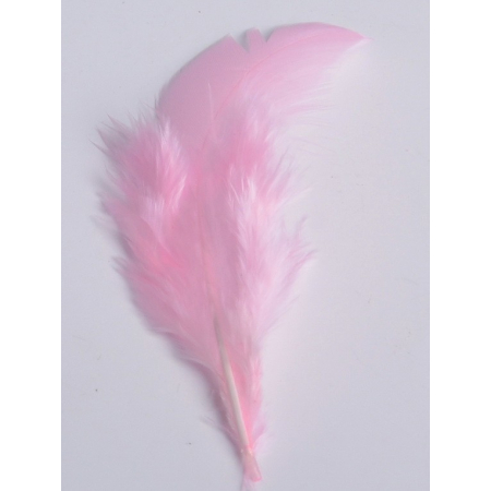 2 gr of small PINK feathers