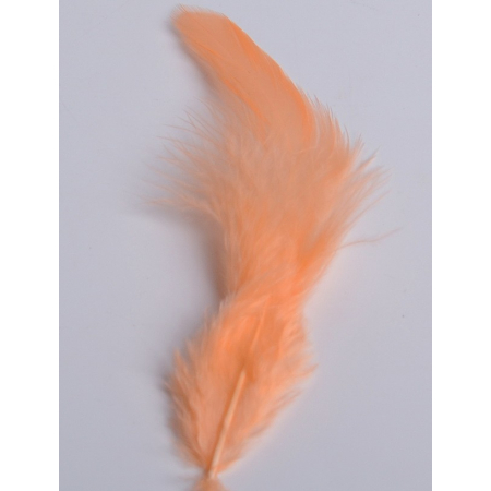2 gr of small LIGHT ORANGE feathers